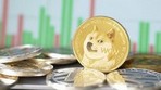 Активность DOGE-адресов выросла до двухнедельного максимума