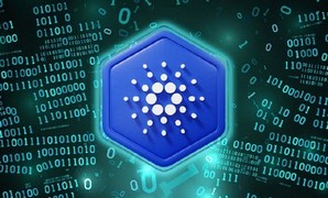 Активность в Cardano сильно выросла в последние месяцы