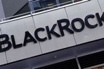 Фонд BlackRock оказался китом PEPE