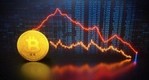 Доминирование биткоина в 2023 году выросло на 5%