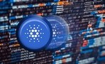 Создатели dApps на базе Cardano резко активизировались