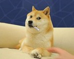 Диван из мема с символом Dogecoin выставят на NFT-аукцион