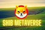 Shiba Inu раскрыл подробности, связанные с Метавселенной