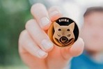 Команда Shiba Inu запустила бета-версию децентрализованного блокчейна Shibarium