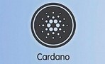 Криптокиты Cardano активно накапливают активы