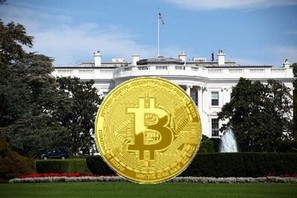 Мнение: выборы в США 2024 года будут сосредоточены вокруг биткоина