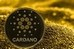 Более 50 000 новых кошельков зарегистрировались на Cardano с начала января