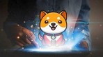 Запуск портала сжиганий Baby Doge будет сопровождаться розыгрышем