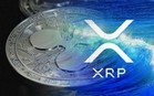 Кошельки с самыми большими балансами XRP принадлежат Ripple, Binance и Uphold