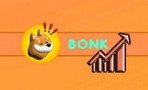 Создатели Bonk Inu запустили DEX и цена BONK выросла