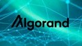 Algorand 3.16.0 и AlgoKit v1.1 открывают новые возможности для ALGO