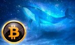 Криктокиты приступили к покупкам BTC на фоне просадки