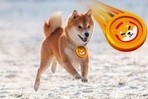 Сжигание Виталиком Бутерином активов Shiba Inu на сумму 7 млрд долларов считается одной из самых значительных транзакций в сети за всю историю