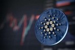 Polkadot и Cardano лидируют в рейтинге коммитов на GitHub