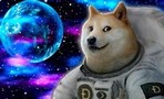 Предстоящий запуск Starship вызвал ажиотаж в сообществе Dogecoin