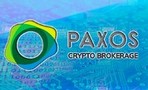 Энтузиасты уверены в будущем криптовалюты Paxos