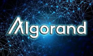 В Algorand рассказали о развитии блокчейна