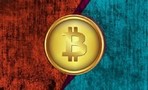 До халвинга BTC осталось 348 дней