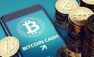 Bitcoin Cash на 6-месячном максимуме