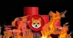 Скорость сжигания токенов Shiba Inu (SHIB) повысилась на 26000%