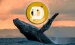 В сети Dogecoin наблюдается массовая активность криптокитов