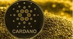 Доля убыточных Cardano-адресов достигла 81%