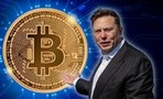 Юрист Ripple прокомментировал слова Илона Маска о биткоине