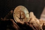 Майк МакГлоун: регуляторы не могут навредить BTC