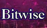 В Bitwise отметили преимущества своего ETF-кошелька