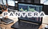 Эксперт Колин Ву подробно исследовал прогнозы Pantera Capital на 2024 год