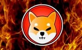 Эксперт ALI рассказал о сокращении баланса Shiba Inu на биржах CEX