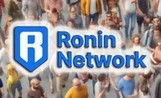 Сеть Ronin Network лучше других привлекает активных пользователей в последние 2 месяца