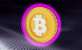 Количество BTC под управлением мировых компаний превысило отметку в 1 млн