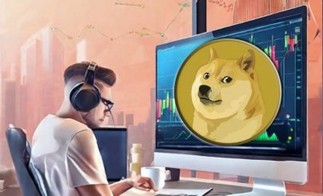 Пользователи зарегистрировали почти 900 тыс. новых кошельков DOGE за неделю