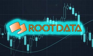 Стартап RootData получил инвестиции на сумму $1,25 млн