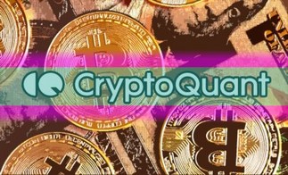 Аналитики из CryptoQuant оценили структуру инвестиционных потоков в BTC