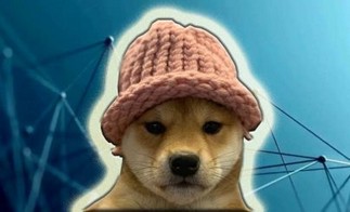 Майлз Дойчер: WIF скоро превзойдет DOGE