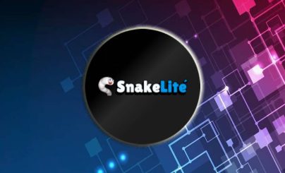 Игровой проект SnakeLite привлек инвестиции на сумму $4 млн