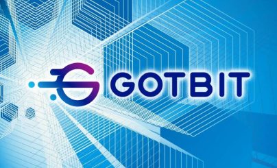 Компания Neiro отказалась от сотрудничества с Gotbit и была раскритикована ZachXBT