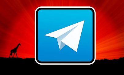 Численность африканских криптосообществ в Telegram выросло на 183%