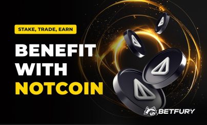 Эффективные способы для заработка с Notcoin