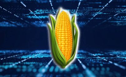 Руководство стартапа Corn получило от инвесторов $6,7 млн