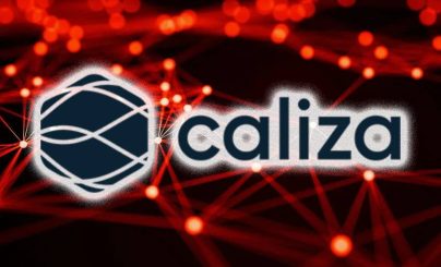 Создатели цифровой платформы Caliza привлекли инвестиции на сумму $8,5 млн