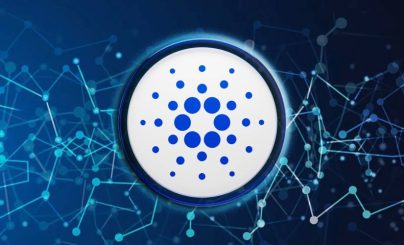 Блокчейн Cardano перестал привлекать внимание новых пользователей