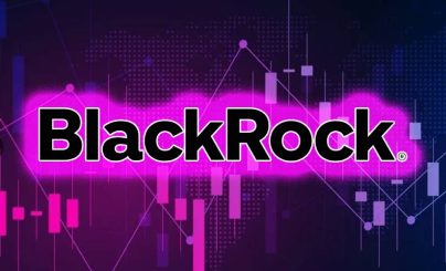 Сотрудники Farside ответили на претензии о сокрытии данных о притоках в IBIT BlackRock