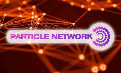 Разработчики Particle Network сообщили о формировании Коалиции Абстракции Цепочек