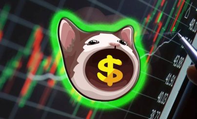 Токен POPCAT на базе Solana подорожал на 210% за неделю