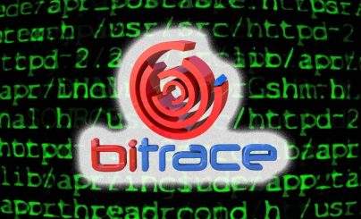 Глава Bitrace рассказала об использовании криптовалют в преступном мире