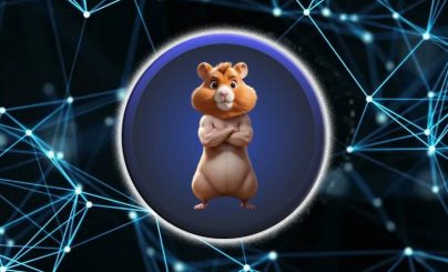 Число валидаторов TON выросло до 391 в рамках подготовки к запуску Hamster Kombat