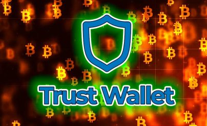 Генеральный директор TrustWallet рассказала о проблемах криптокошельков